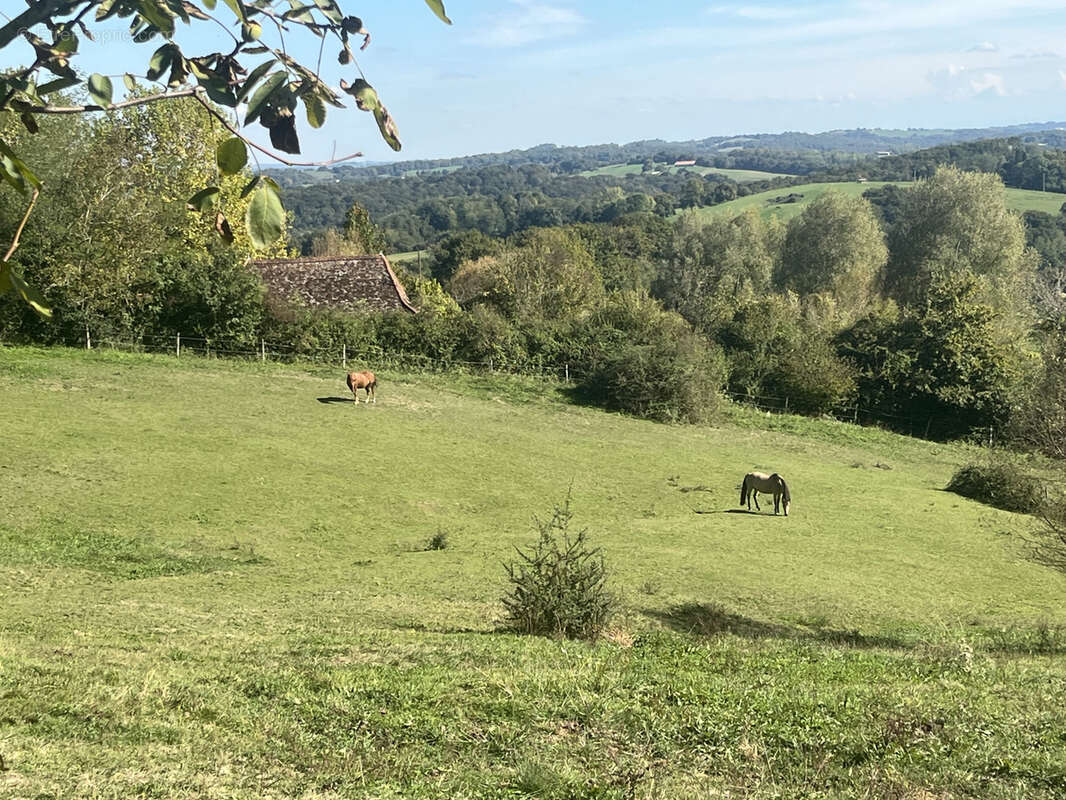 Maison à L'HOPITAL-D'ORION