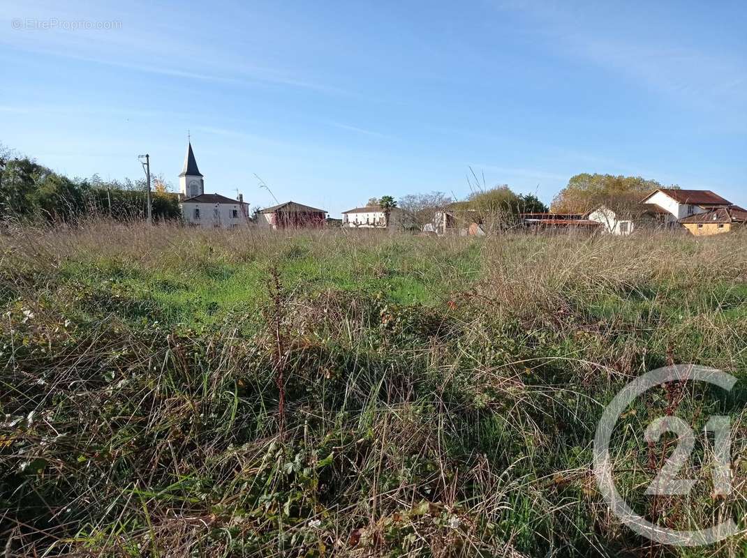 Terrain à BONNEGARDE