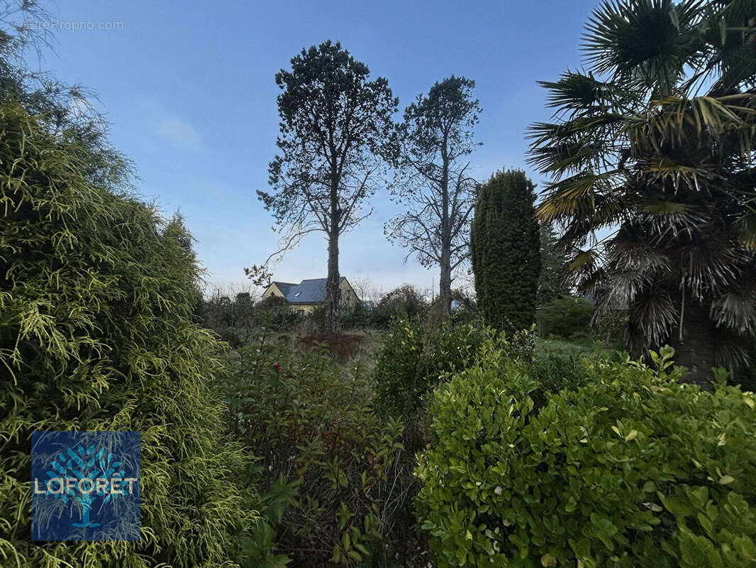 Maison à SAINT-BRICE-EN-COGLES