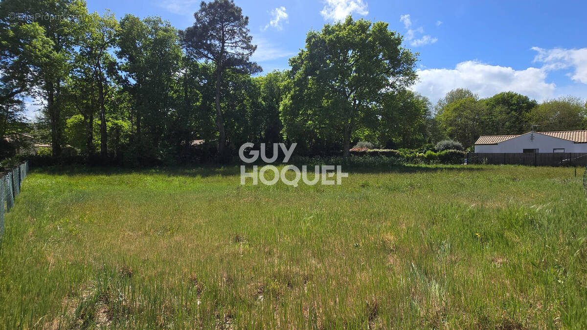 Terrain à SAINT-HILAIRE-DE-RIEZ