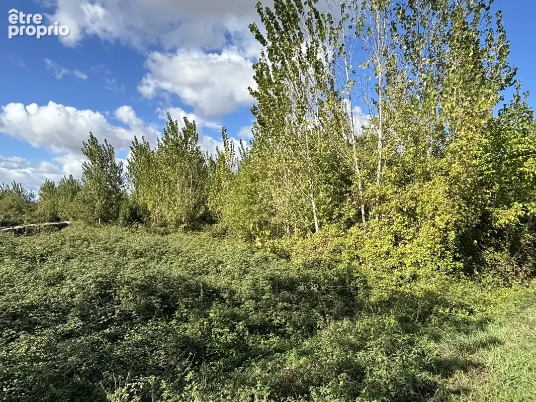 Terrain 10 836 m² à vendre à Morannes (49640) - photo 3
