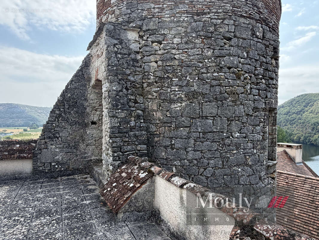 Chateau  avec vue exceptionnelle sur le lot - photo 49
