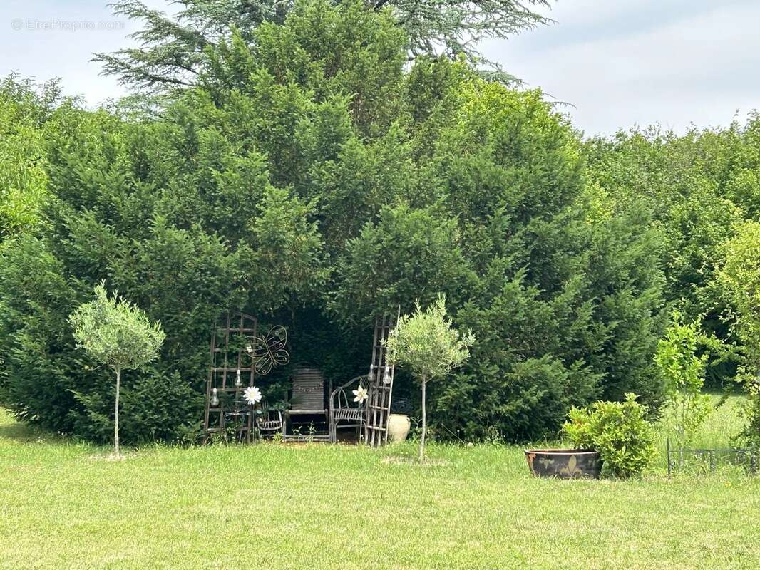 Maison à BLANZAC-PORCHERESSE