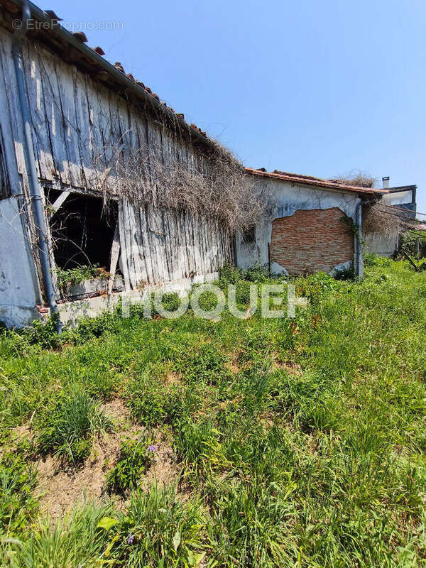 Maison à renover sur terrain de 1868m² - photo 3