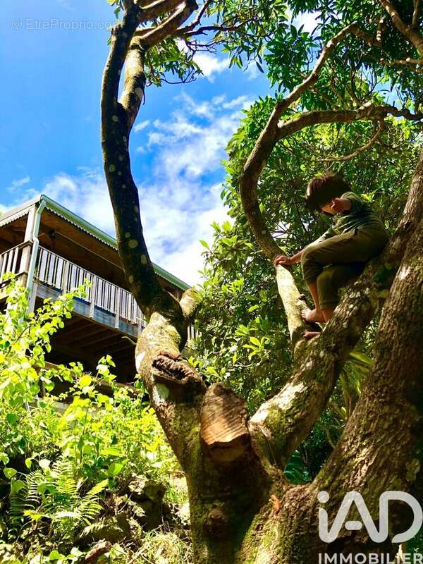 Photo 8 - Maison à SAINT-JOSEPH