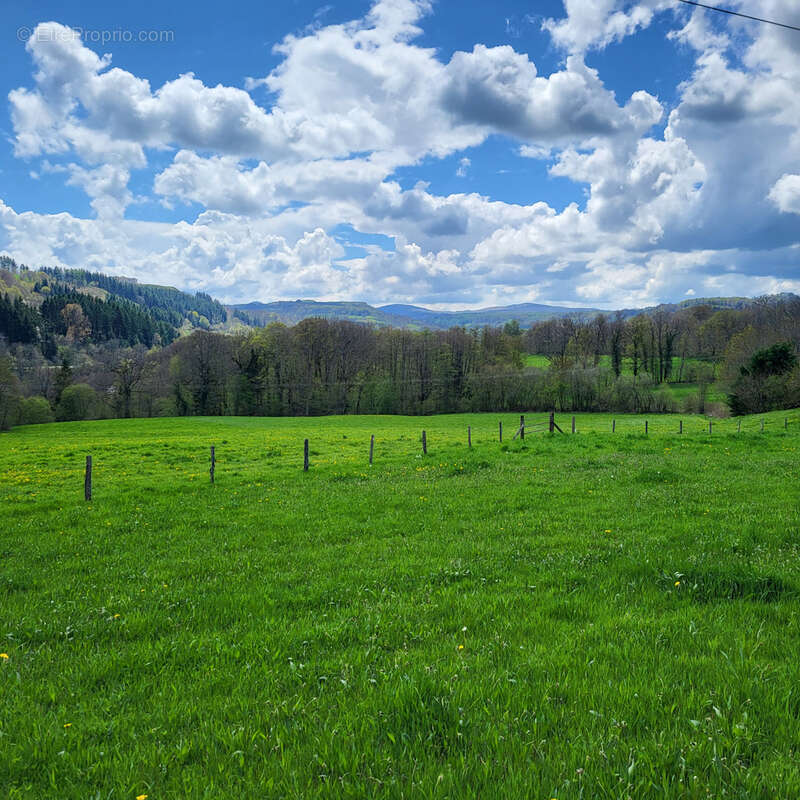Maison à RIOM-ES-MONTAGNES