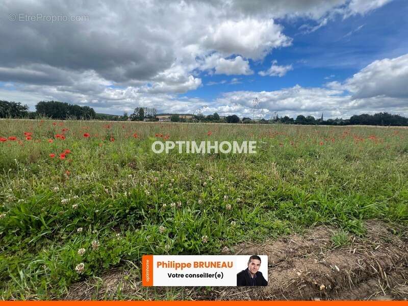 Terrain situé sur la commune de Fains - photo 2
