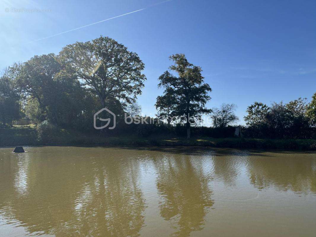 Terrain à SAINT-PIERRE-LA-COUR