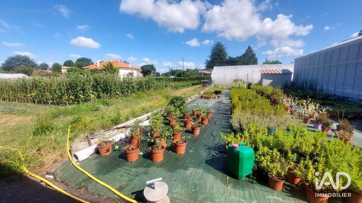 Photo 8 - Commerce à SAINT-MAGNE-DE-CASTILLON
