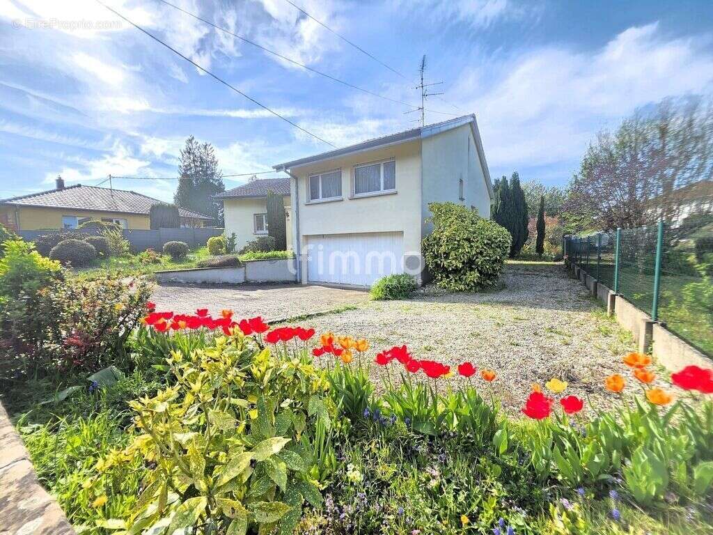 Riedisheim Waldeck – Maison familiale plain-pied sur 9 ares - photo 2