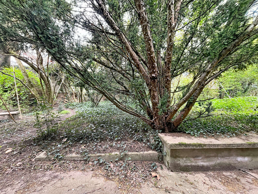 Maison à FRANCHEVILLE