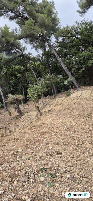 Terrain à GORBIO