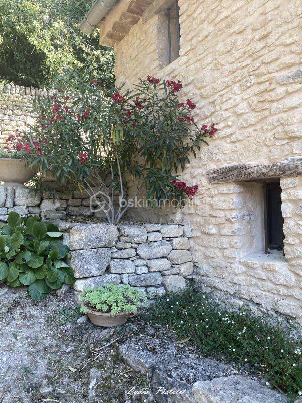 NOUVEAUTÉ - SAIGNON (84) - Authentique maison de village avec extérieur - photo 2