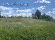 Terrain à BASSILLAC