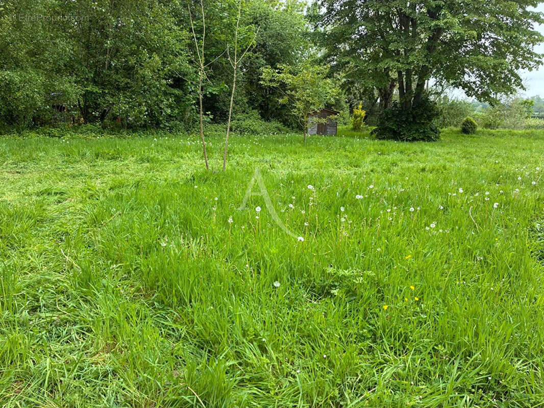 Terrain à VILLERS-SUR-AUTHIE