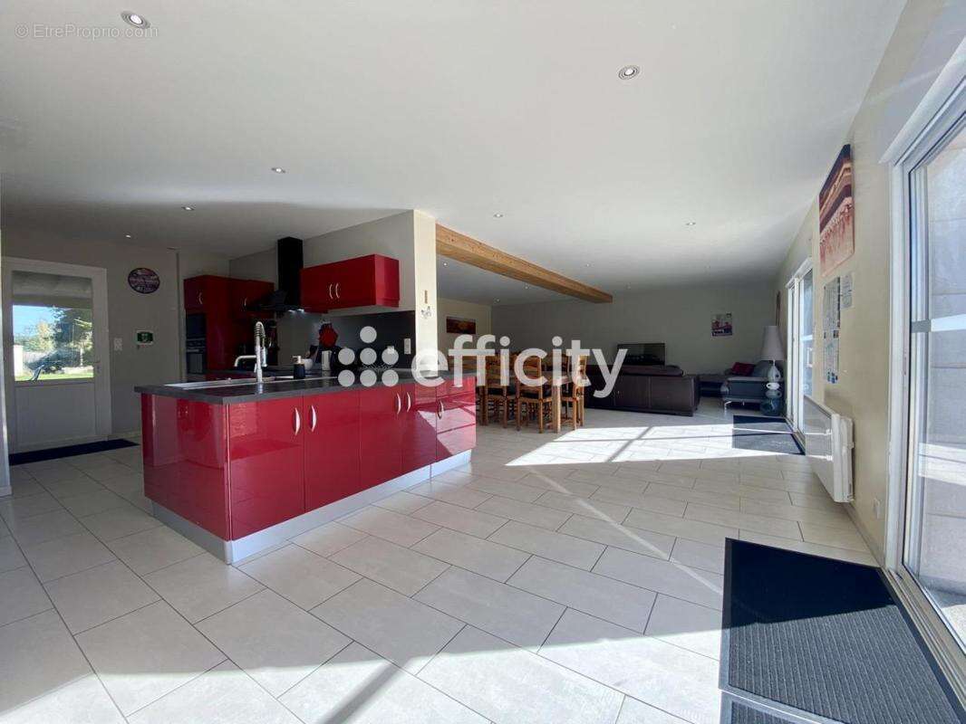 Maison 272 m² à Hommes  - photo 6