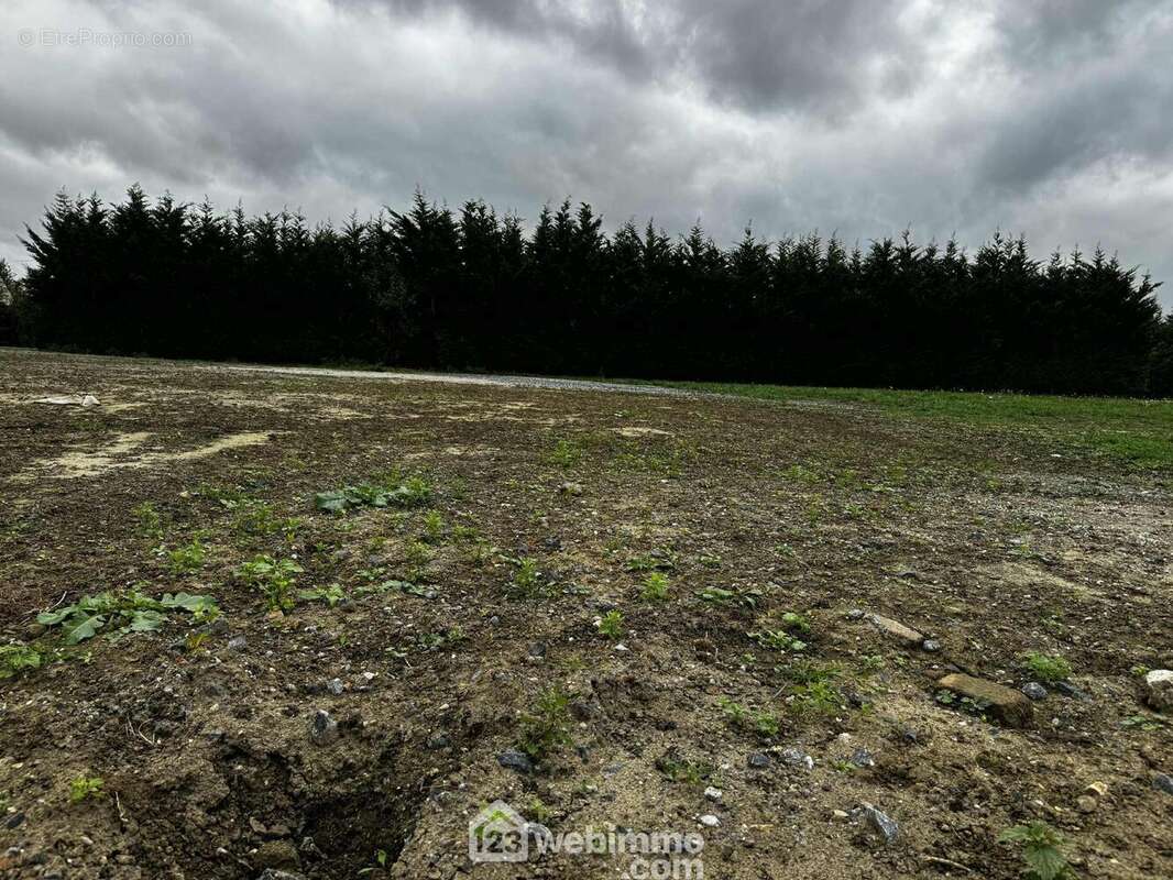 Entièrement viabilisé et plat, il permet une construction simple et rapide - Terrain à VERSIGNY