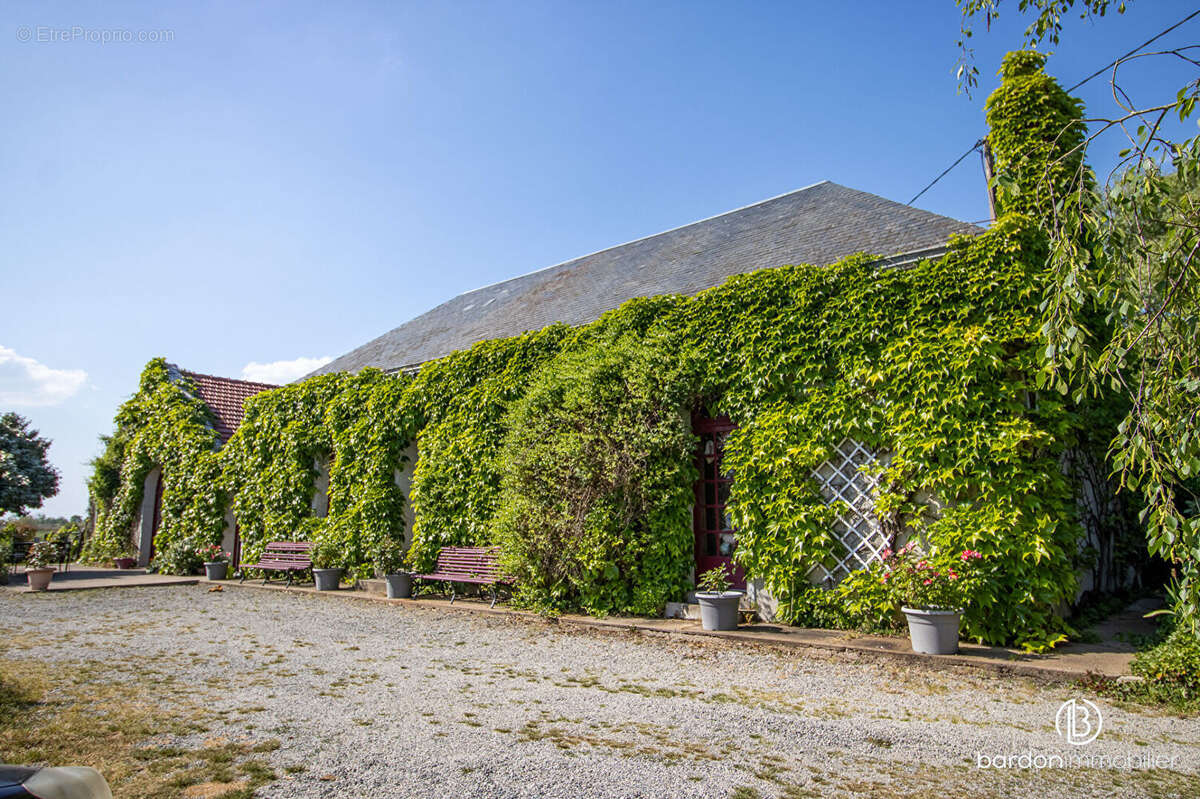 Maison au coeur des marais - 173 m² - Environnement calme et paisible - photo 7
