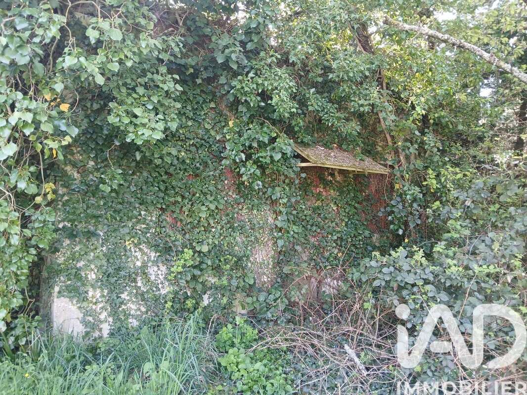 Photo 4 - Terrain à BOISCOMMUN