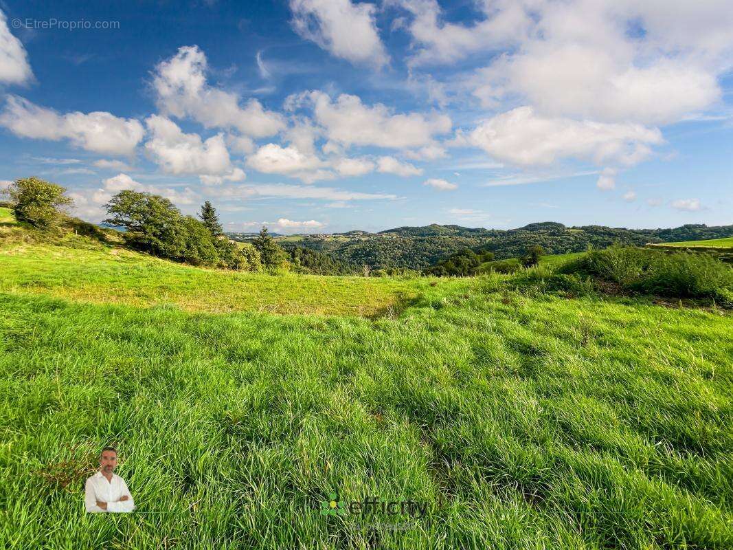 Terrain à SAINT-REMY-DE-CHARGNAT