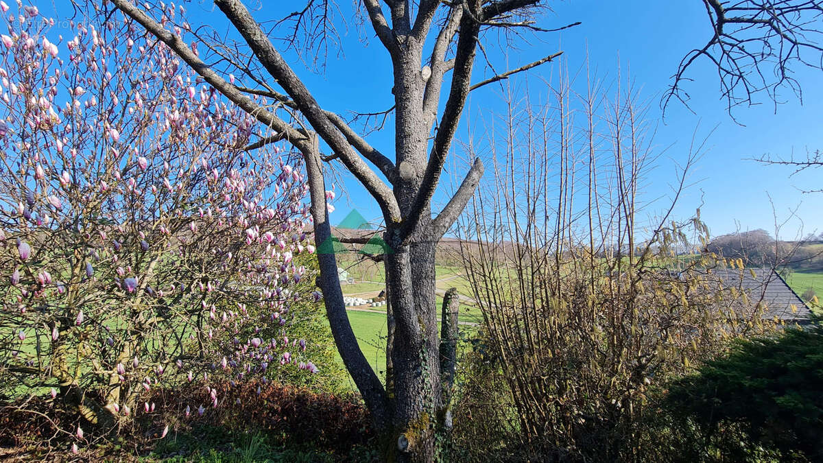 Grande maison sur 9,37 ares - photo 6