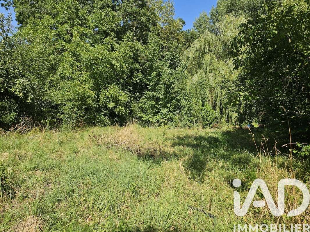 Photo 3 - Terrain à LONGCHAMP