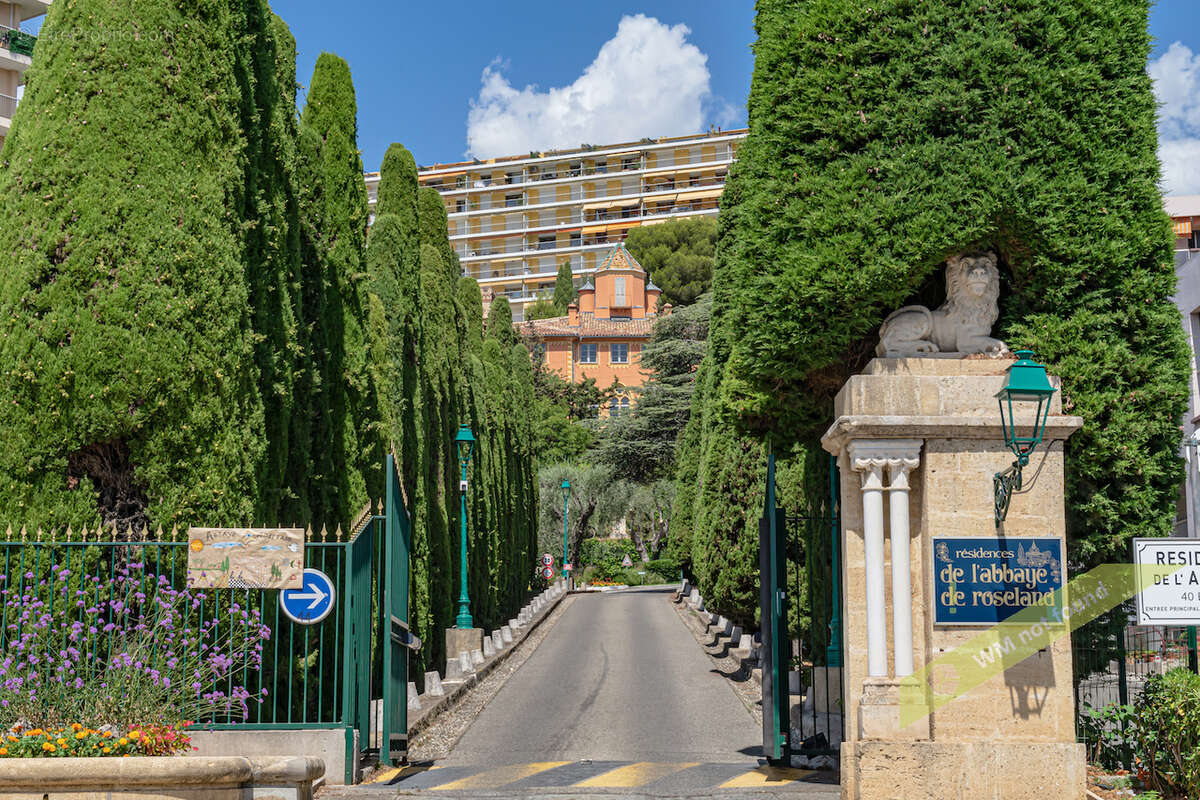 NICE FABRON / ABBAYE DE ROSELAND - Exceptionnel Penthouse 200 m2 hab à rénover + 230 m2 terrasses/solarium, de - photo 15