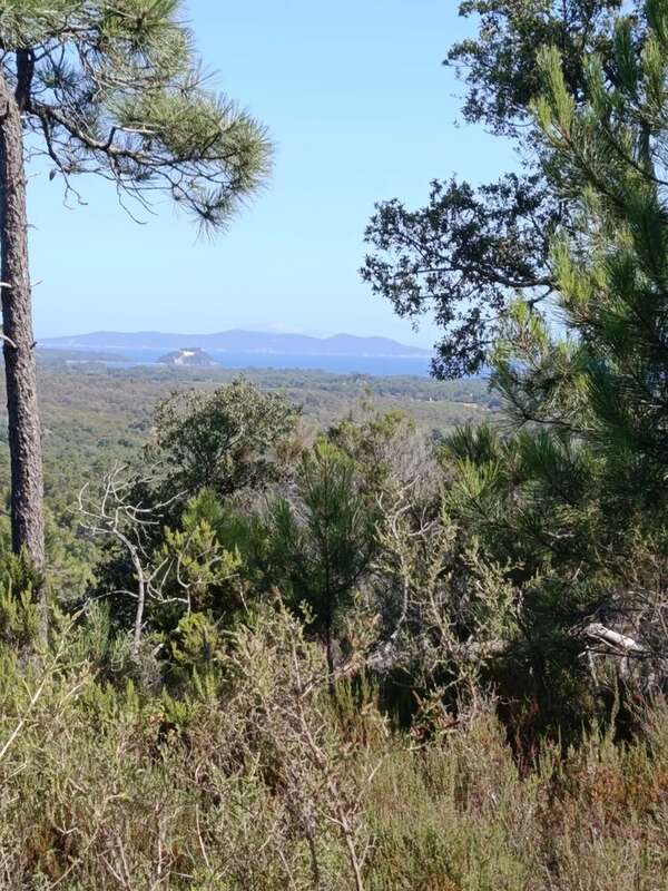 Terrain de loisirs la londe les maures - photo 2