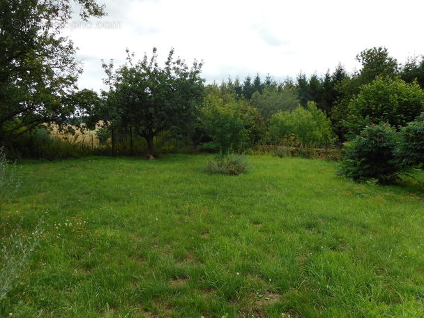 Appartement à ANTHENY