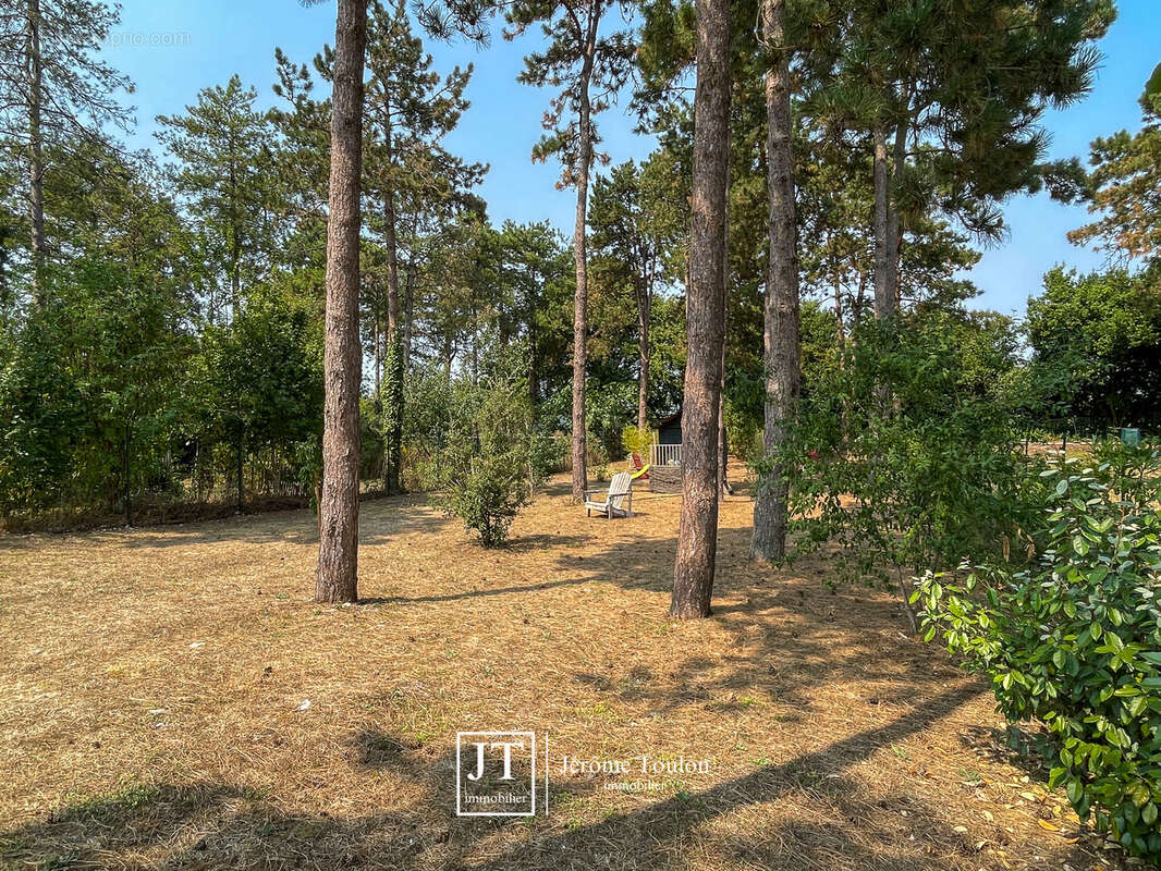 La Canopée - photo 37