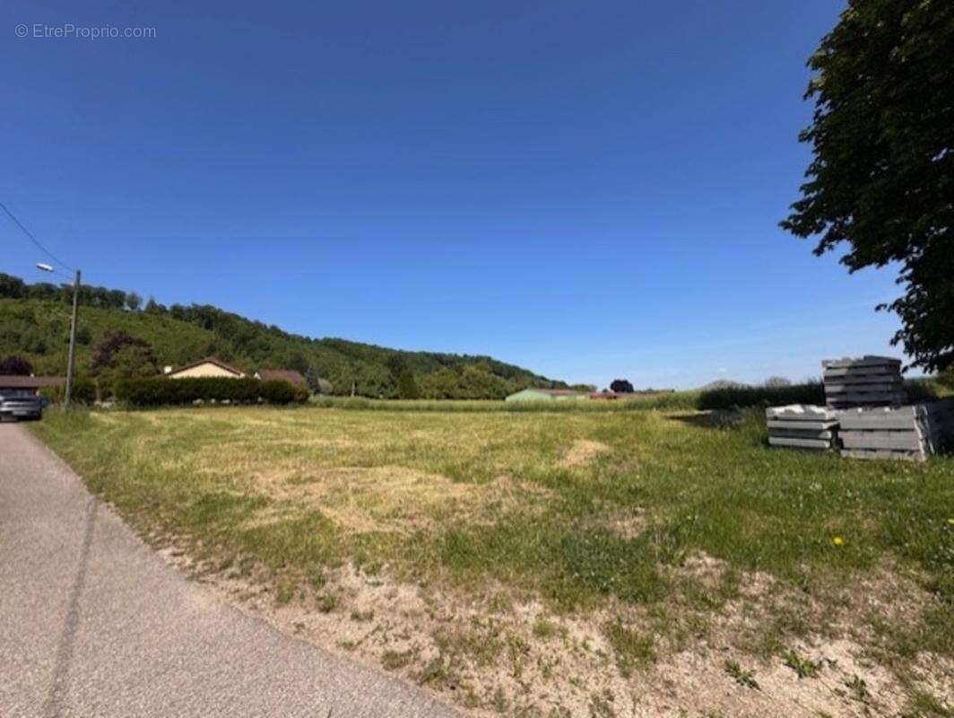 À vendre – Terrain à bâtir viabilisé de 1495 m² à Brandeville (55150) - photo 5