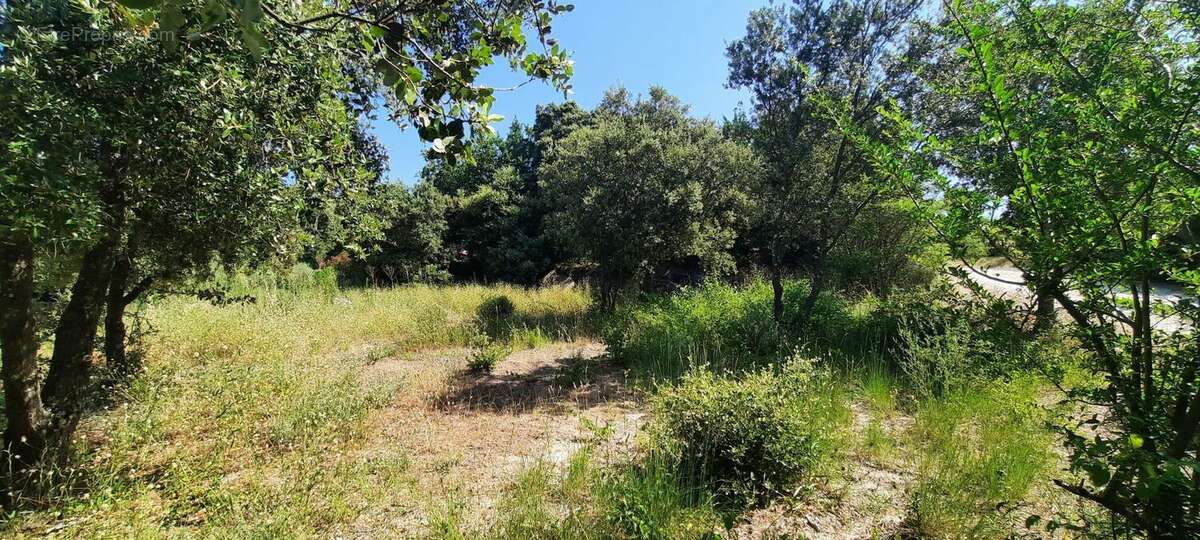 Projet de construction d'une maison  m² avec terrain à BEDOIN (84) - photo 2