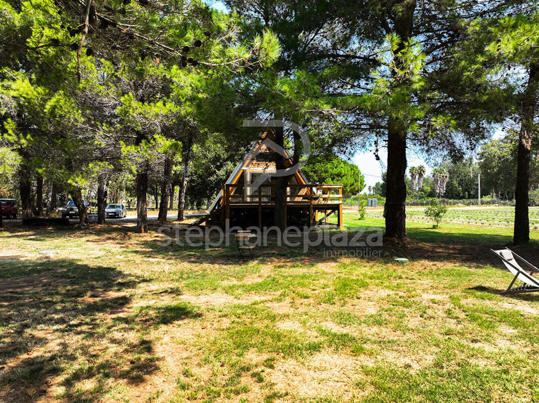 Propriété agricole de 19000m2 sur Saint Cyprien - photo 5