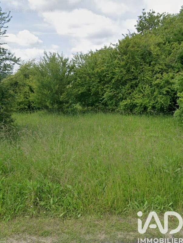 Photo 1 - Terrain à BRIOU