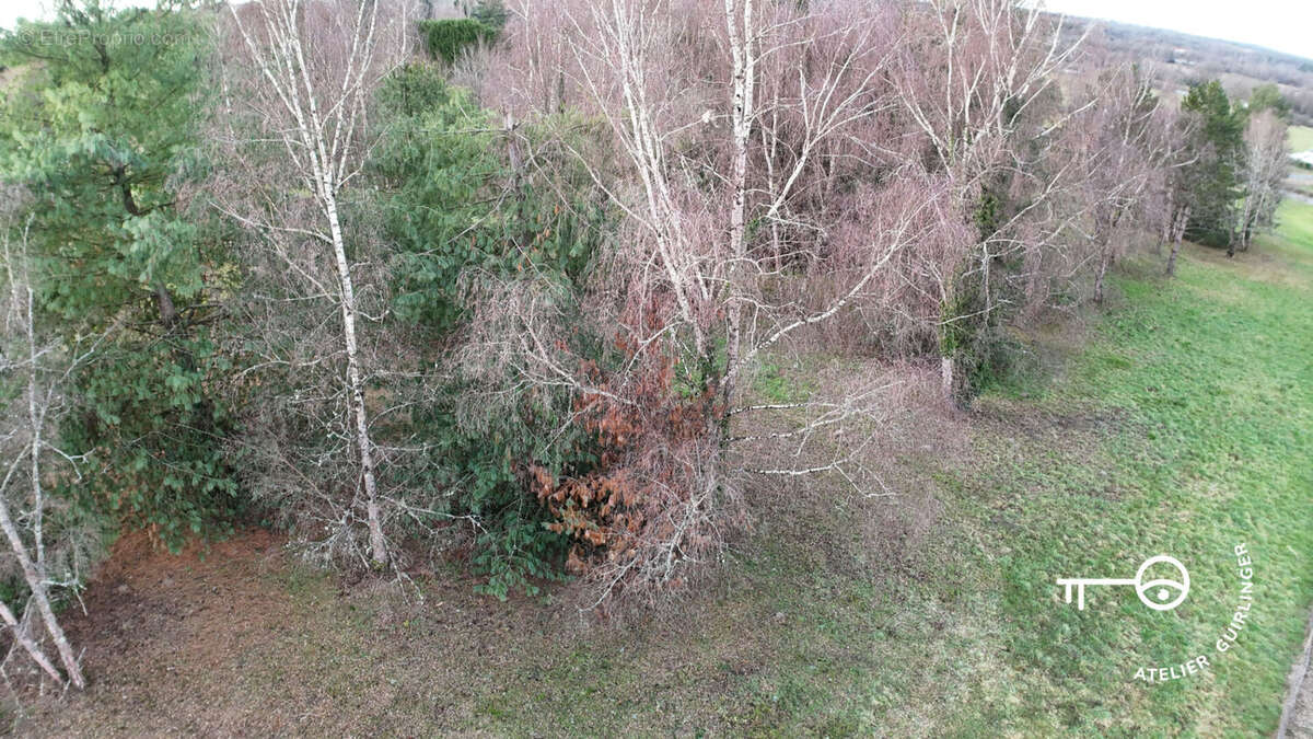 Terrain à MONTRIEUX-EN-SOLOGNE