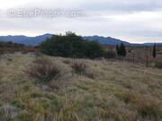 Terrain à BANYULS-DELS-ASPRES