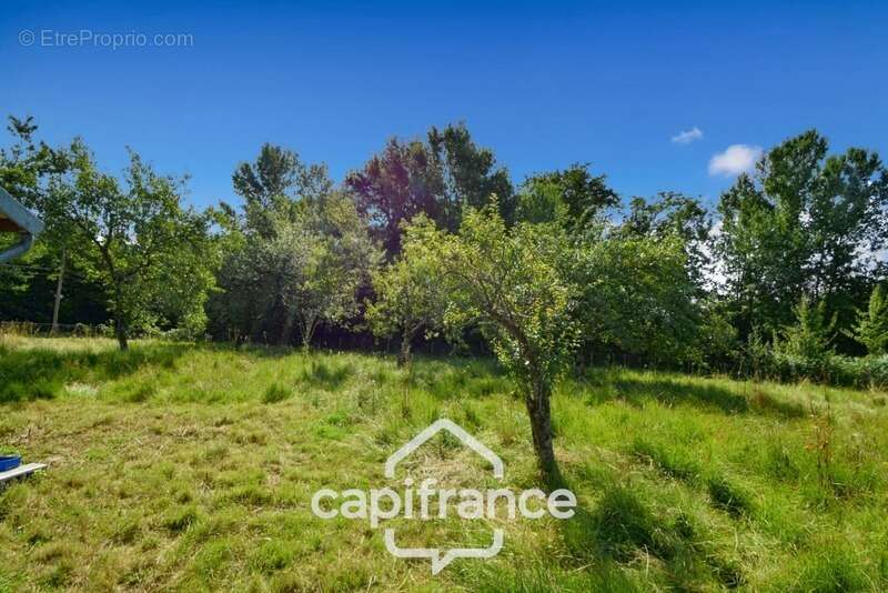 Maison à BLETTERANS