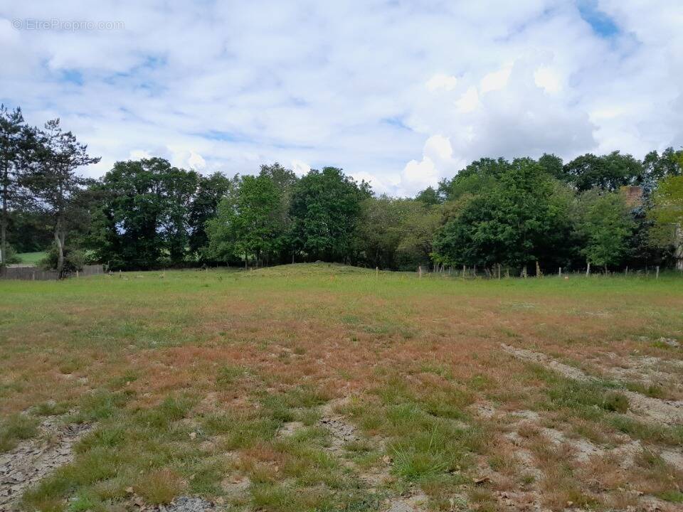 Terrain à LES MOUTIERS-EN-RETZ