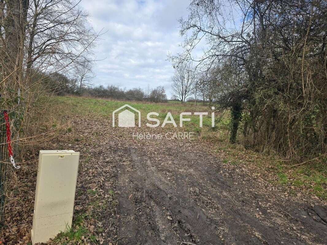 Photo 3 - Terrain à VIERZON