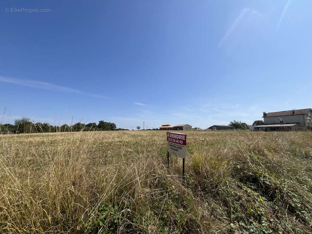 15362 m2 Terrain d'1.5 hectare à vendre à Almayrac, à 20KM d’Albi dans le Tarn (81) - photo 3