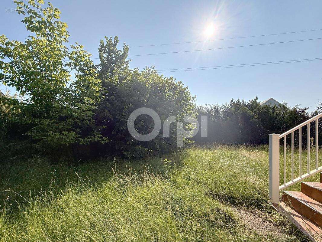 Maison à BATTENHEIM