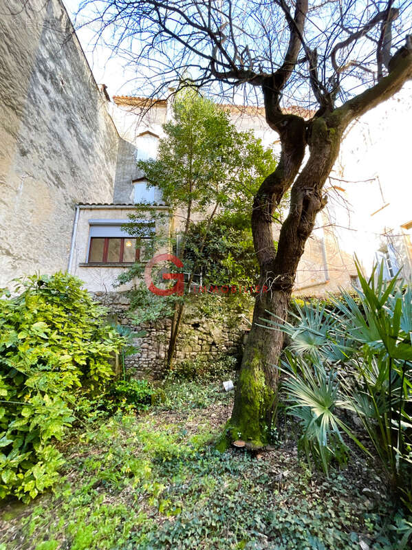 Maison de Maître 10 pièces avec jardin et cave. - photo 19