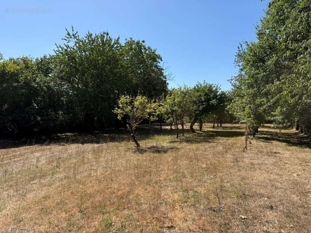 Maison de Campagne au Calme Avec 3 Chambres et Terrain - photo 26