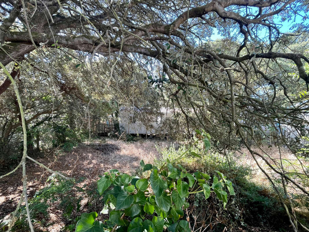 Maison dans un écrin de verdure à deux pas de l’océan - Domino - photo 7