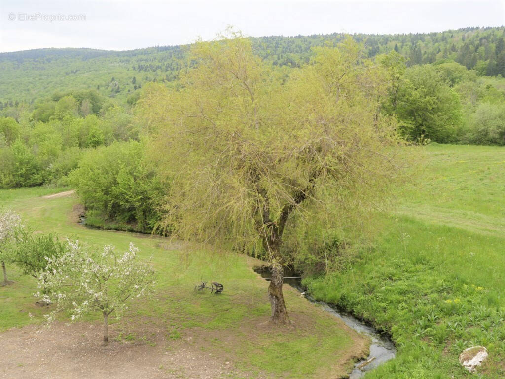 Maison à HAUTEVILLE-LOMPNES