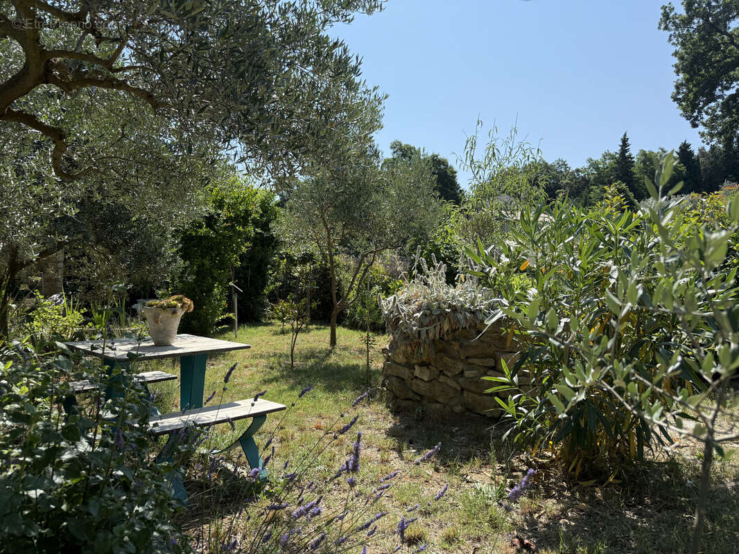 Maison à BOLLENE
