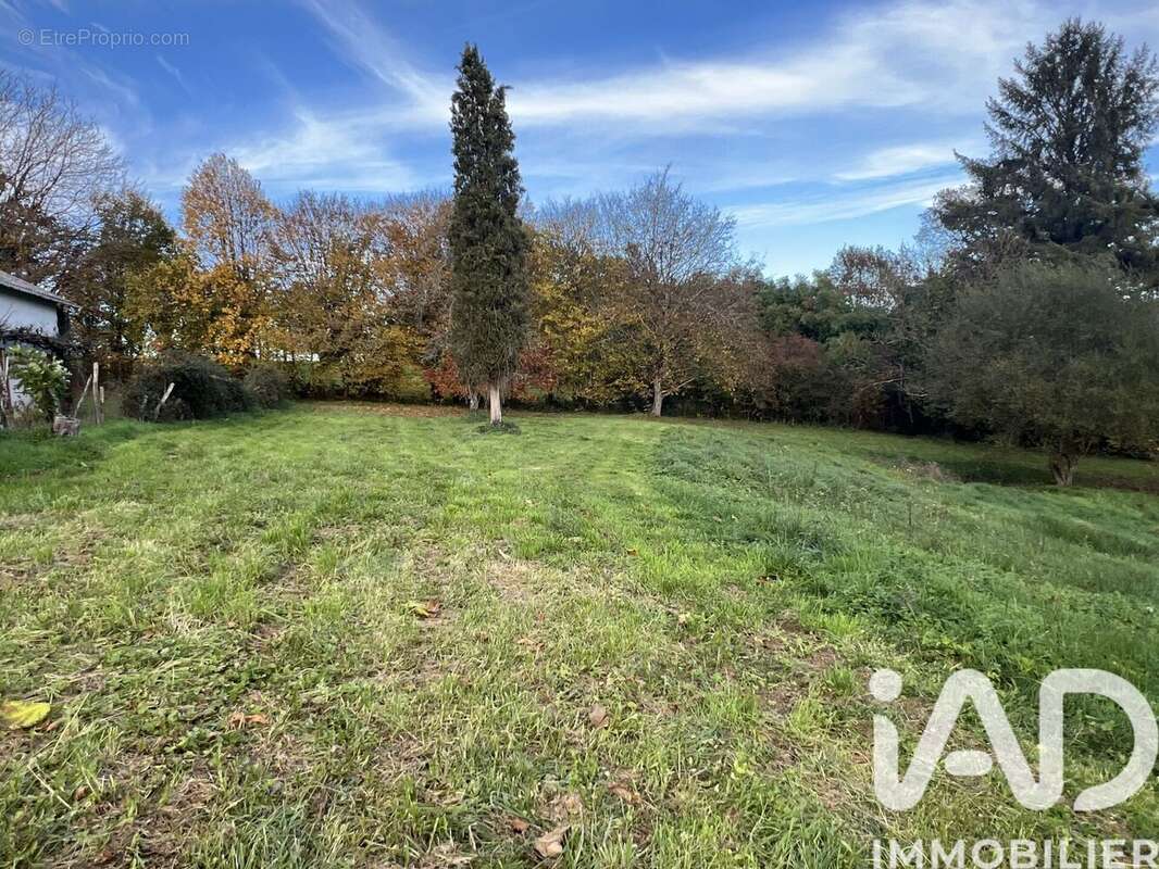 Photo 3 - Terrain à VIGEOIS