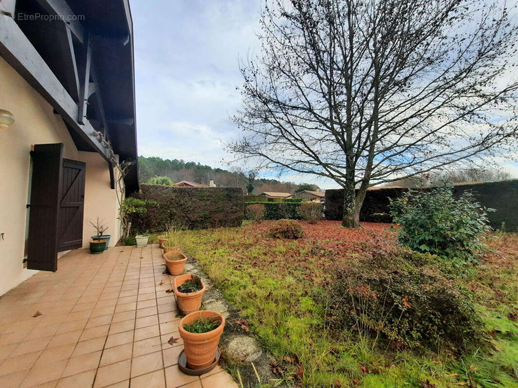 Maison à SAINT-VINCENT-DE-TYROSSE