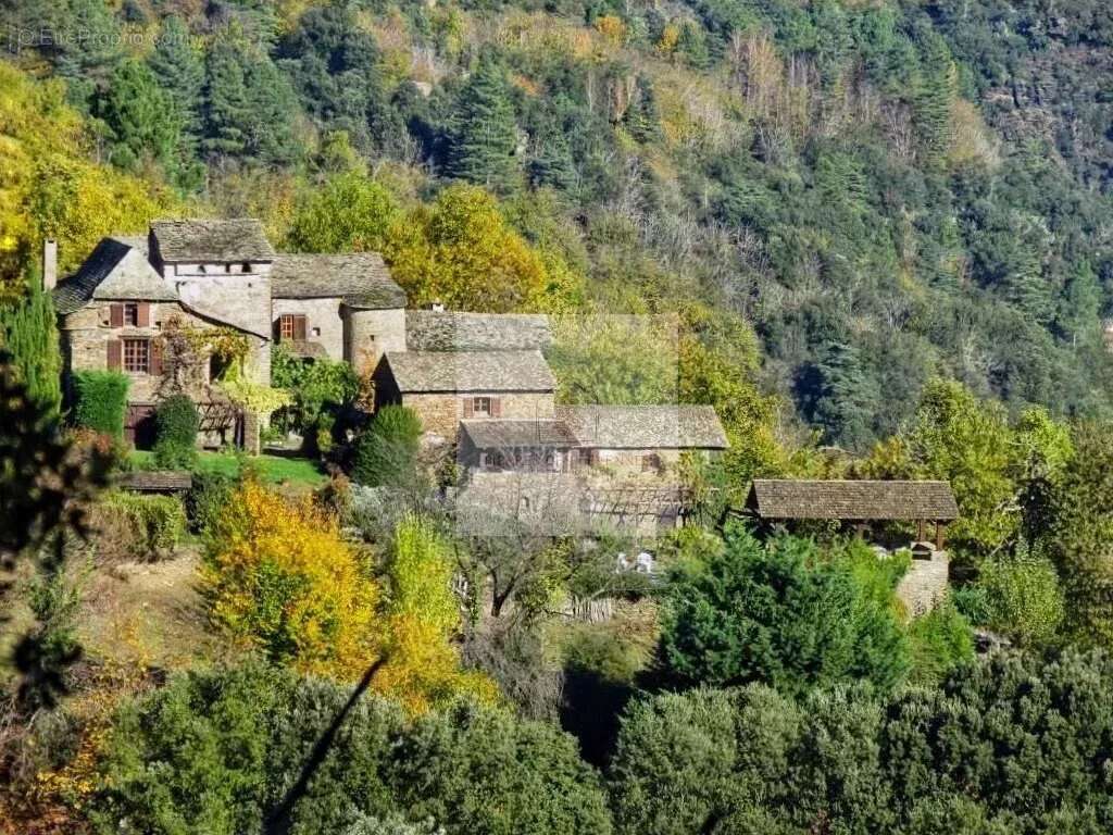 Maison à SAINT-GERMAIN-DE-CALBERTE
