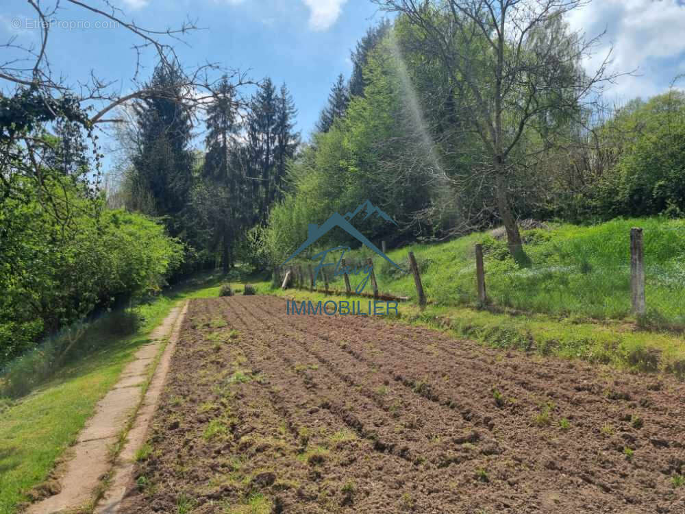 Maison à GRANDVILLERS